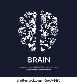 Vector logo colored silhouette of brain on a dark background.