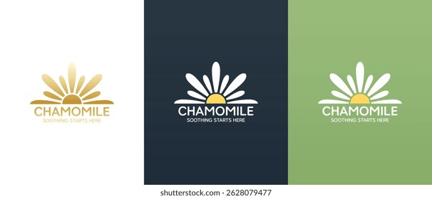 Vector logo of daisy flower. Branding concept idea for herbal medicine, essential oil brand identity, herbal tea wellness, beauty products.
