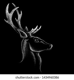 The Vector logo deer for tattoo or T-shirt design or outwear.  Cute print style deer background for canvas.