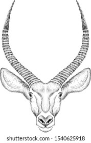 The Vector logo deer  for tattoo or T-shirt design or outwear.  Cute print style deer background. This drawing would be nice to make on the white fabric or canvas.