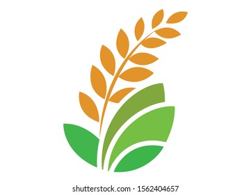 vector logo design for agriculture