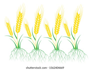 vector logo design for agriculture