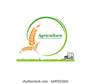 vector logo design for agriculture, agronomy, wheat farm, rural country farming field, natural harvest. Simple logo for wheat farming design