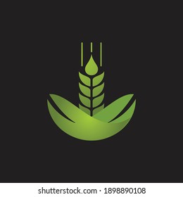 vector logo design for agriculture, agronomy, wheat farm, rural country farming field, natural harvest