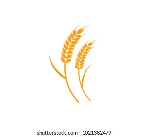 vector logo design and elements of wheat grain, wheat ears, wheat seed, or wheat rye, prosperity symbol