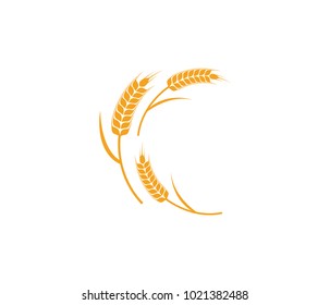 vector logo design and elements of wheat grain, wheat ears, wheat seed, or wheat rye, prosperity symbol