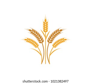 vector logo design and elements of wheat grain, wheat ears, wheat seed, or wheat rye, prosperity symbol