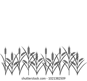 vector logo design and elements of wheat grain, wheat ears, wheat seed, or wheat rye, prosperity symbol