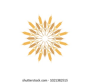 vector logo design and elements of wheat grain, wheat ears, wheat seed, or wheat rye, prosperity symbol