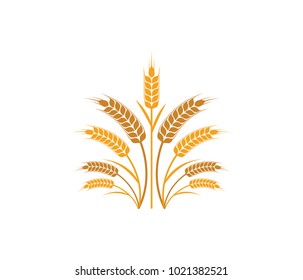 vector logo design and elements of wheat grain, wheat ears, wheat seed, or wheat rye, prosperity symbol