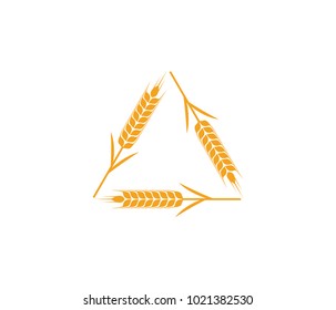vector logo design and elements of wheat grain, wheat ears, wheat seed, or wheat rye, prosperity symbol