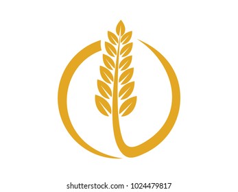 vector logo design and elements of wheat grain, wheat ears, wheat seed, or wheat rye, prosperity symbol