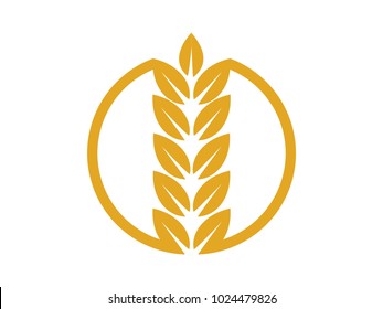 vector logo design and elements of wheat grain, wheat ears, wheat seed, or wheat rye, prosperity symbol