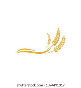 vector logo design and elements of wheat grain, wheat ears, wheat seed, or wheat rye, prosperity symbol