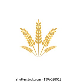 vector logo design and elements of wheat grain, wheat ears, seed or rye, prosperity symbol