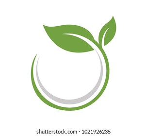 vector logo design leaf circle, green tea herbal, natural medicine, sprout with green leafs