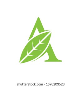 vector logo design A leaf with a white beground