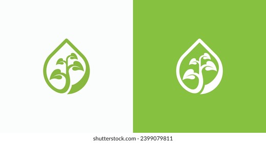 Vector logo design of plant growing on water drops