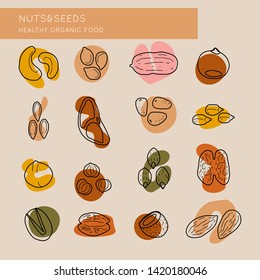 Vector logo design template with nut icons in linear style. Abstract emblems set for organic shop, healthy food store or vegetarian cafe.