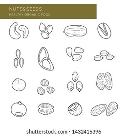 Vector logo design template with nut icons in linear style. Abstract emblems set for organic shop, healthy food store or 
vegetarian cafe.