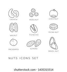 Vector logo design template with nut icons in linear style. Abstract emblems set for organic shop, healthy food store or 
vegetarian cafe.

