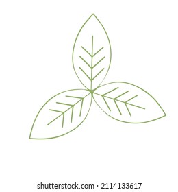 Vector logo design templates and badges in trendy linear style - zero waste concept - ecological lifestyle. plastic free emblem for packaging eco-friendly and organic products