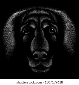 The Vector logo dog  for tattoo or T-shirt design or outwear.  Cute print style dog  background.