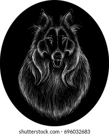 The Vector logo dog for T-shirt design or outwear.  Hunting dog  style background.