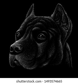 The Vector logo dog  or wolf  for tattoo or T-shirt design or outwear.  Cute print style dog  or wolf  background.