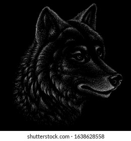 The Vector logo dog  or wolf for tattoo or T-shirt design or outwear.  Cute print style dog  or wolf  background. This drawing would be nice to make on the black fabric or canvas.