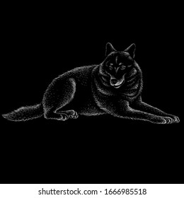 	The Vector logo dog  or wolf for tattoo or T-shirt design or outwear.  Cute print style dog  or wolf  background. This drawing would be nice to make on the black fabric or canvas.	