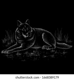 	The Vector logo dog  or wolf for tattoo or T-shirt design or outwear.  Cute print style dog  or wolf  background. This drawing would be nice to make on the black fabric or canvas.	