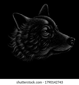 The Vector logo dog  or wolf for tattoo or T-shirt design or outwear.  Cute print style dog  or wolf  background. This hand drawing would be nice to make on the black fabric or canvas.