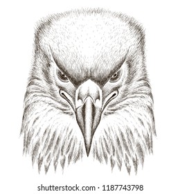 The Vector logo eagle for tattoo or T-shirt design or outwear.  Hunting style eagle background.