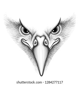 The Vector logo eagle for tattoo or T-shirt design or outwear.  Hunting style eagle background.