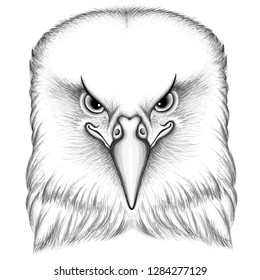 The Vector logo eagle for tattoo or T-shirt design or outwear.  Hunting style eagle background.