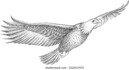 The Vector logo eagle for tattoo or T-shirt design or outwear.  Hunting style eagle background. This drawing is for black fabric or canvas.