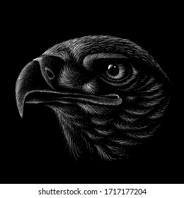 The Vector logo eagle for tattoo T  shirt design outwear   Hunting style eagle background  This hand drawing is for black fabric canvas 