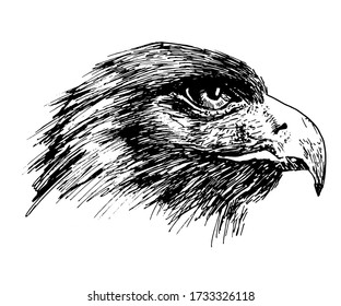 The Vector logo eagle for tattoo or T-shirt design or outwear. Hunting style eagle background.
