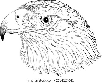 The Vector logo eagle for tattoo or T-shirt design or outwear.  Hunting style raven background. This hand drawing is for black fabric or canvas.