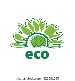 Vector logo eco
