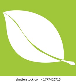 vector logo, eco or simple leaf 
