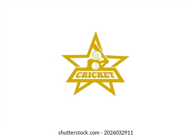 Vector logo element for cricket sports team with star frame