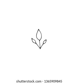 Vector logo element for nature or garden related business, a branch with leaves. Hand drawn isolated illustration. For corporate branding and identity, for farmers and plant care companies.