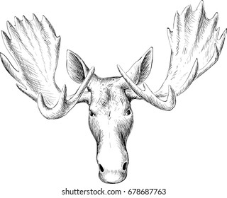 The Vector logo elk for T-shirt design or outwear.  Hunting style background.
