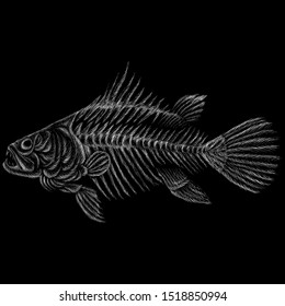 The Vector logo fish skeleton for tattoo or T-shirt design or outwear.  Cute print style fish skeleton  background. This drawing would be nice to make on the black fabric or canvas.