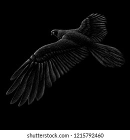 The Vector logo of fly eagle for tattoo or T-shirt design or outwear.  Hunting style eagle background.