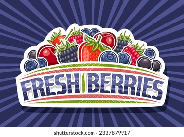 Vector logo for Fresh Berries, white decorative sign board with illustration of many assorted red wild forest berry and unique brush lettering for text fresh berries on blue rays of light background