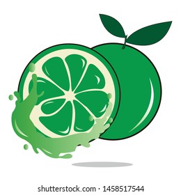 Vector logo of fresh orange fruit in green