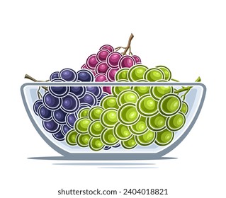 Vector logo for Grape, decorative horizontal poster with outline illustration of ripe different grape bunches composition, cartoon design fruity print with colorful grape bunches in transparent dish